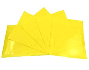 Mejores Comprativas On Line Trampas Eco Para Insectos Jardin Los Mejores 5