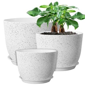 Mejores Review On Line Maceta 30 Cm Top Diez
