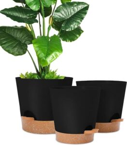 La Mejor Comparacion De Macetas Grandes Para Exterior Disponible En Linea Para Comprar
