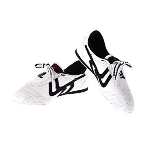 Mejores Precios Y Opiniones De Zapatillas Taekwondo Los Diez Mejores