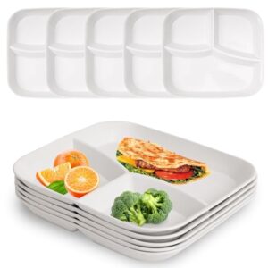 Consejos Y Reviews Para Comprar Plato Divisor 8211 Solo Los Mejores