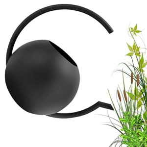 El Mejor Review De Donde Comprar Un Bonsai Disponible En Linea Para Comprar