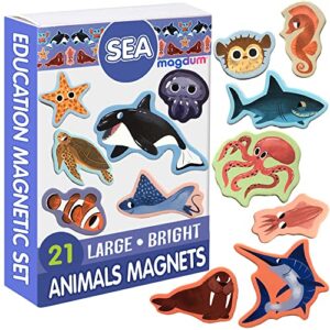 La Mejor Review De Imanes Infantiles Listamos Los 10 Mejores