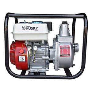 Consejos Y Comparativas Para Comprar Motobomba Para Agua Para Comprar Online